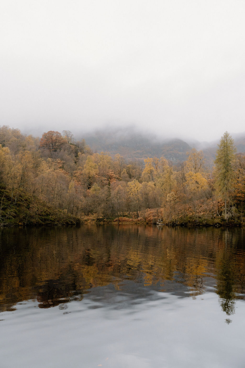 Autumn-coloured woodland climbs a misty hillside above a still loch near Wildwoodz, its reflection filling the calm water below.