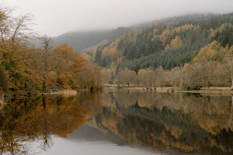 Autumn trees in golden and rust colour reflected in a still loch at Wildwoodz, mist over the hills.