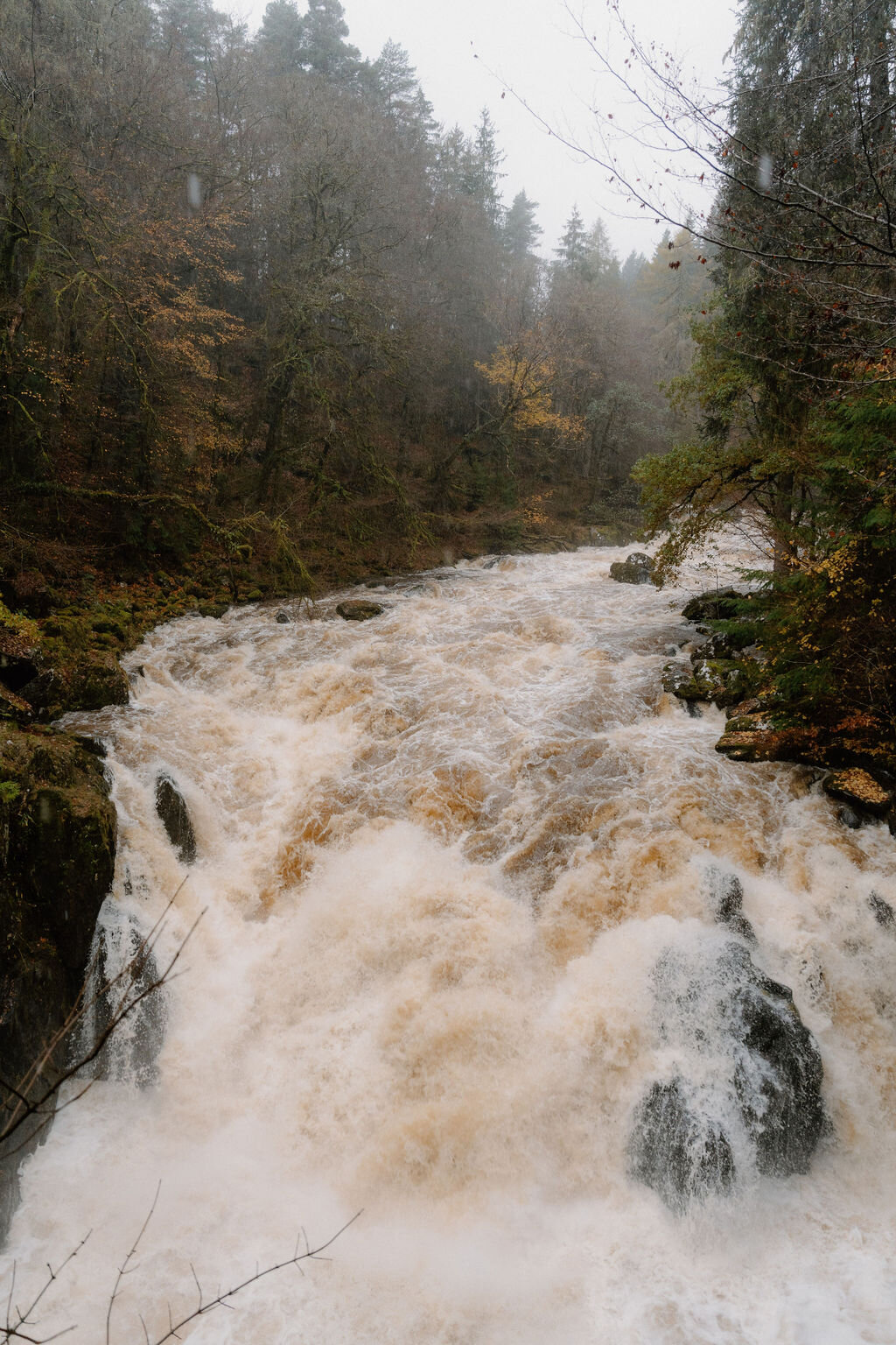 A swollen river crashes over rocks in a misty autumn forest gorge.