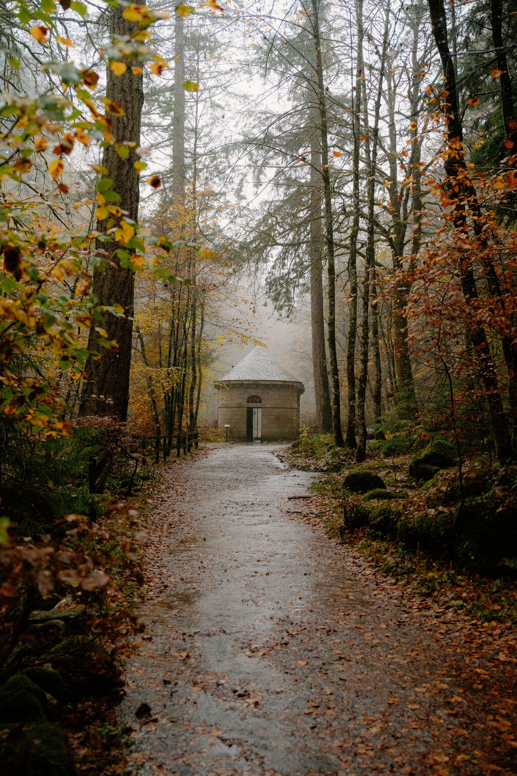 A small domed stone pavilion stands at the end of a path through misty autumn woodland.