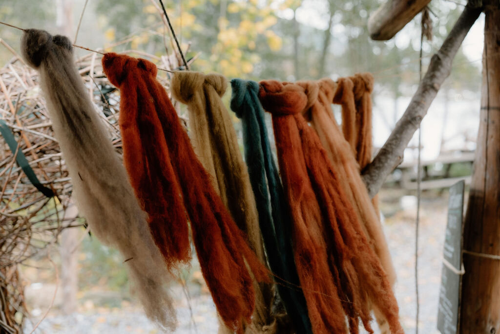 Hand-dyed wool skeins in orange, teal and cream hang drying outdoors.