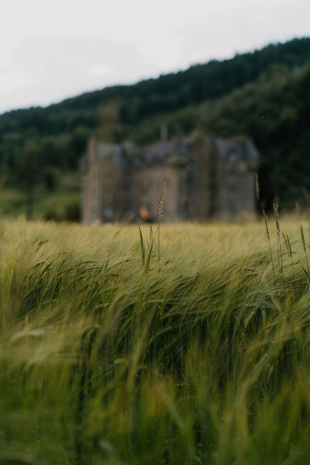 Castle Menzies
