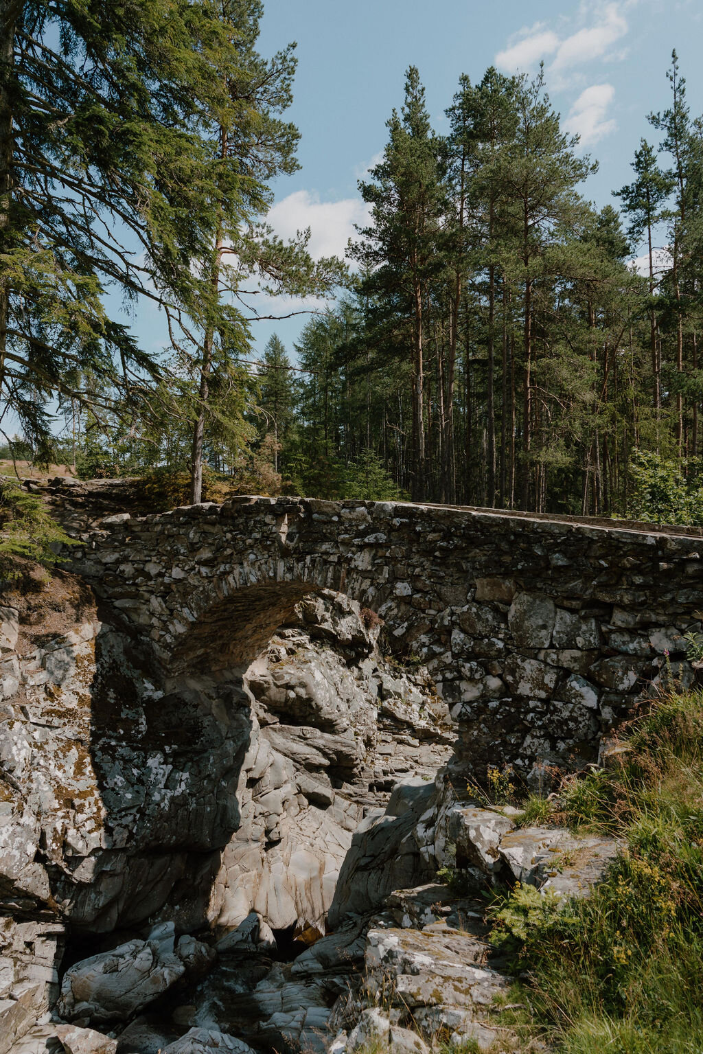 An old stone packhorse bridge spans a rocky gorge beneath tall pines.