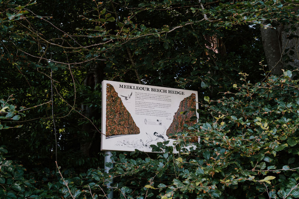 An information board describing the Meikleour Beech Hedge stands among trees.