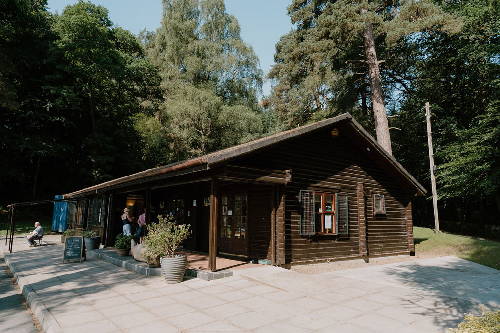 A log cabin building with a covered porch stands among pine trees beside a path.