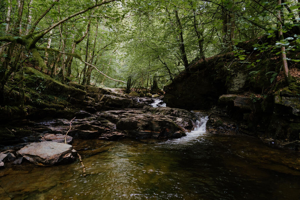 A stream flows over mossy rocks through dense green woodland in Perthshire.