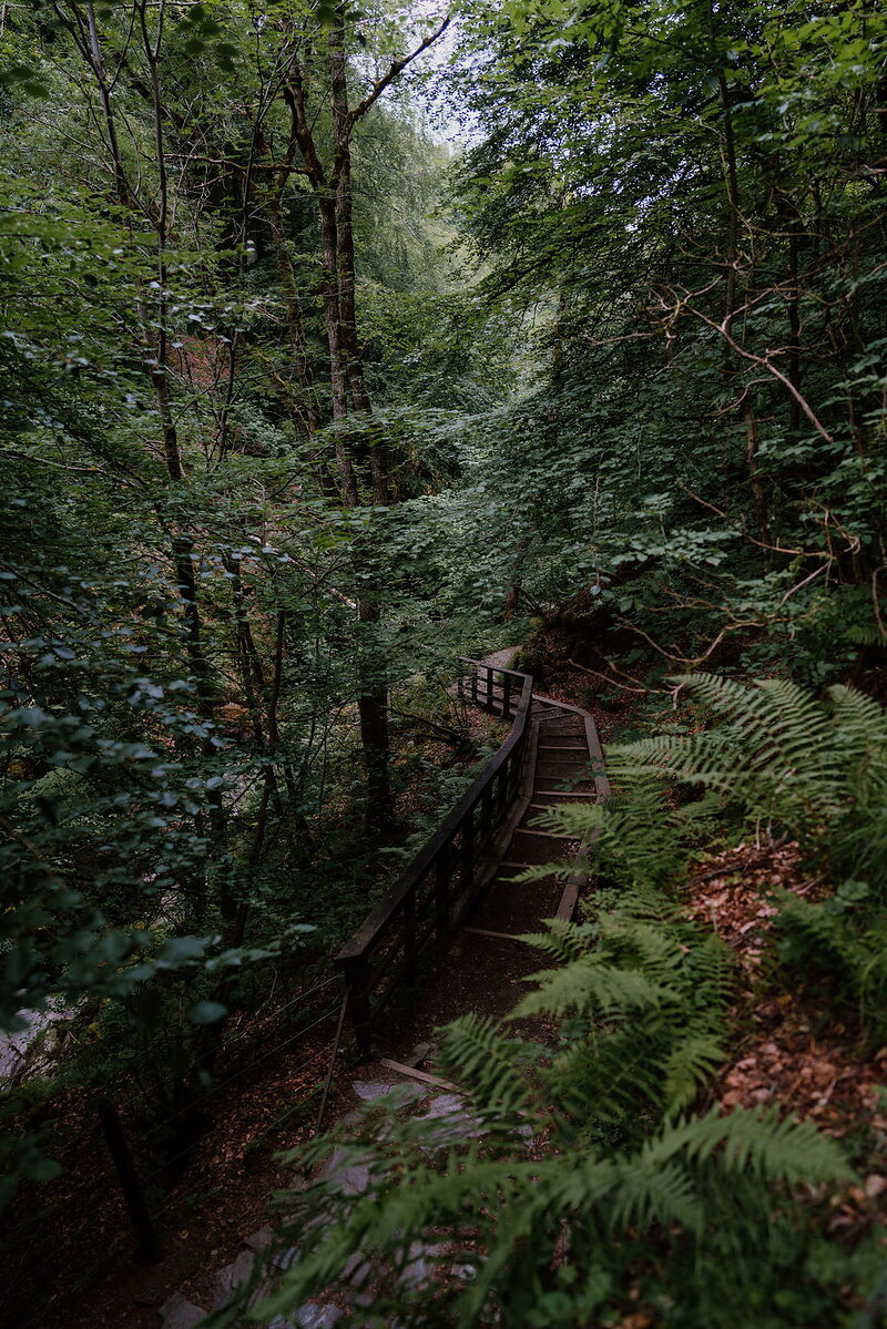 The Birks of Aberfeldy walk