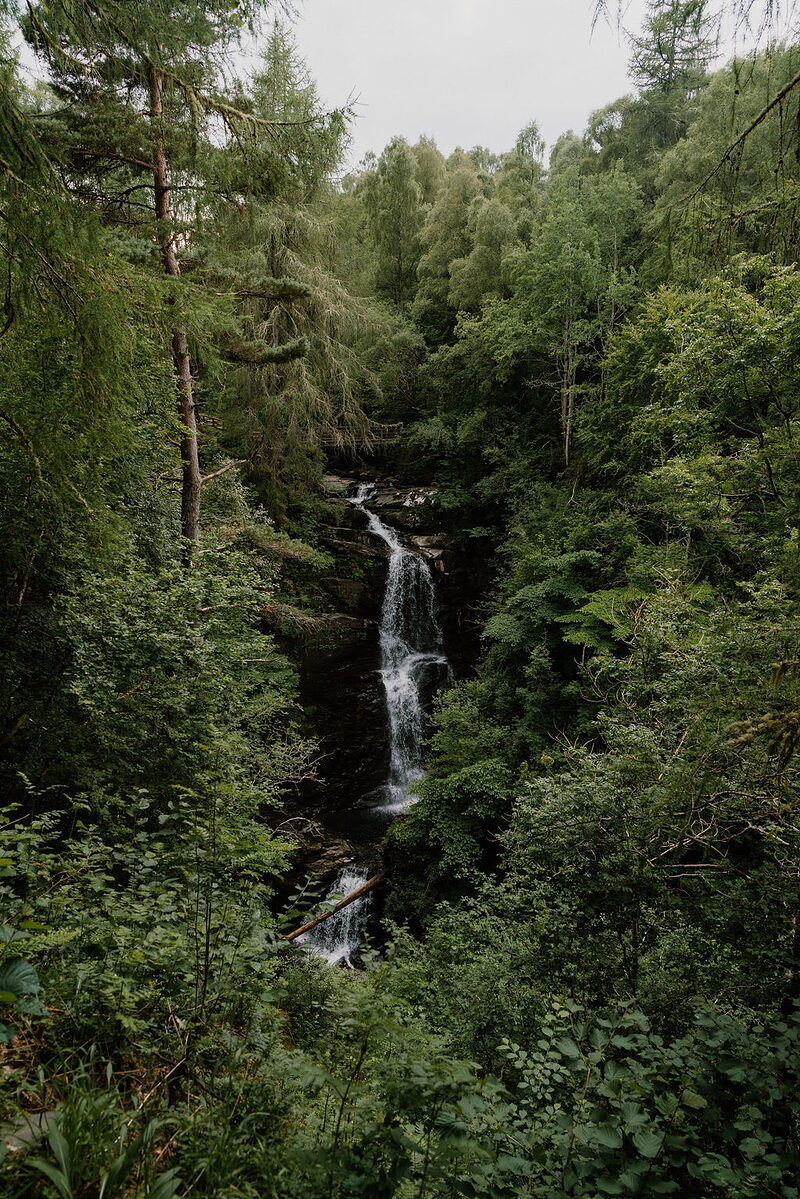 A waterfall cascades through a narrow wooded gorge framed by pine and birch trees.