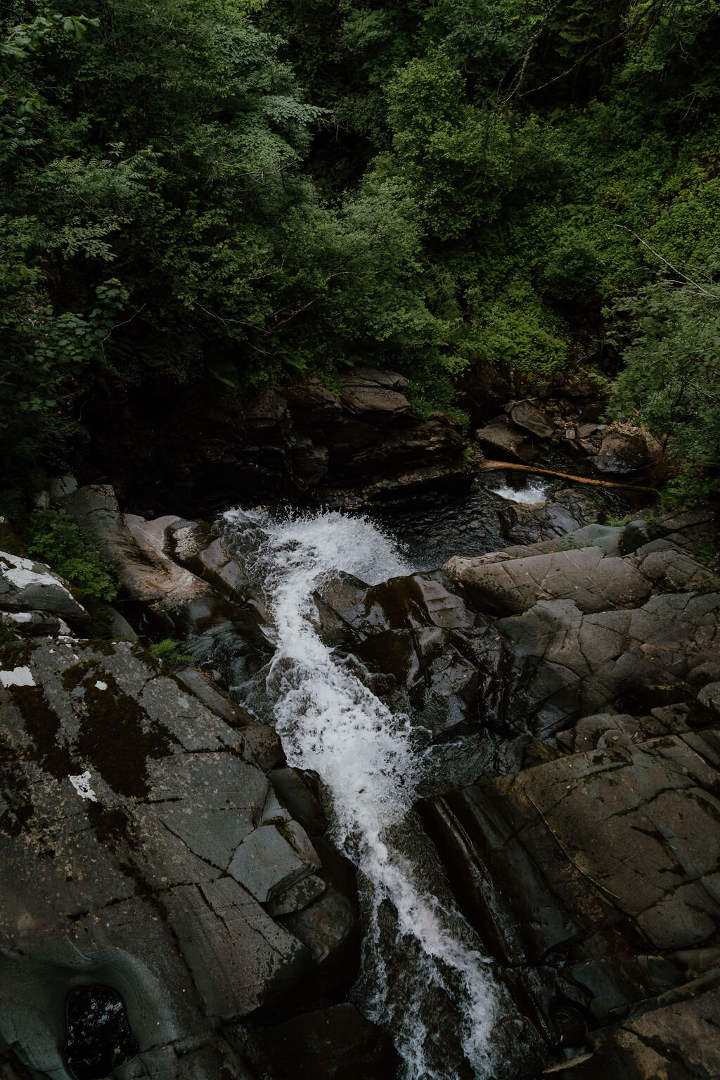 Water rushes over dark rock ledges in a wooded gorge in Perthshire.