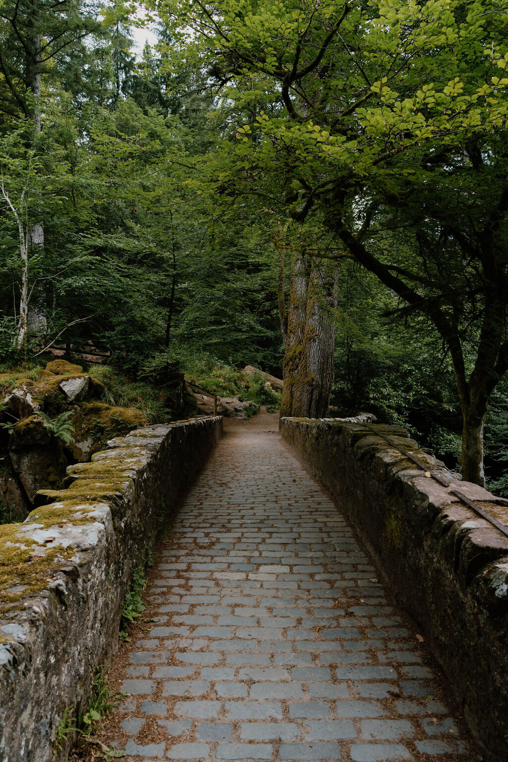 A cobbled stone footbridge with mossy parapets crosses a wooded gorge in Perthshire.