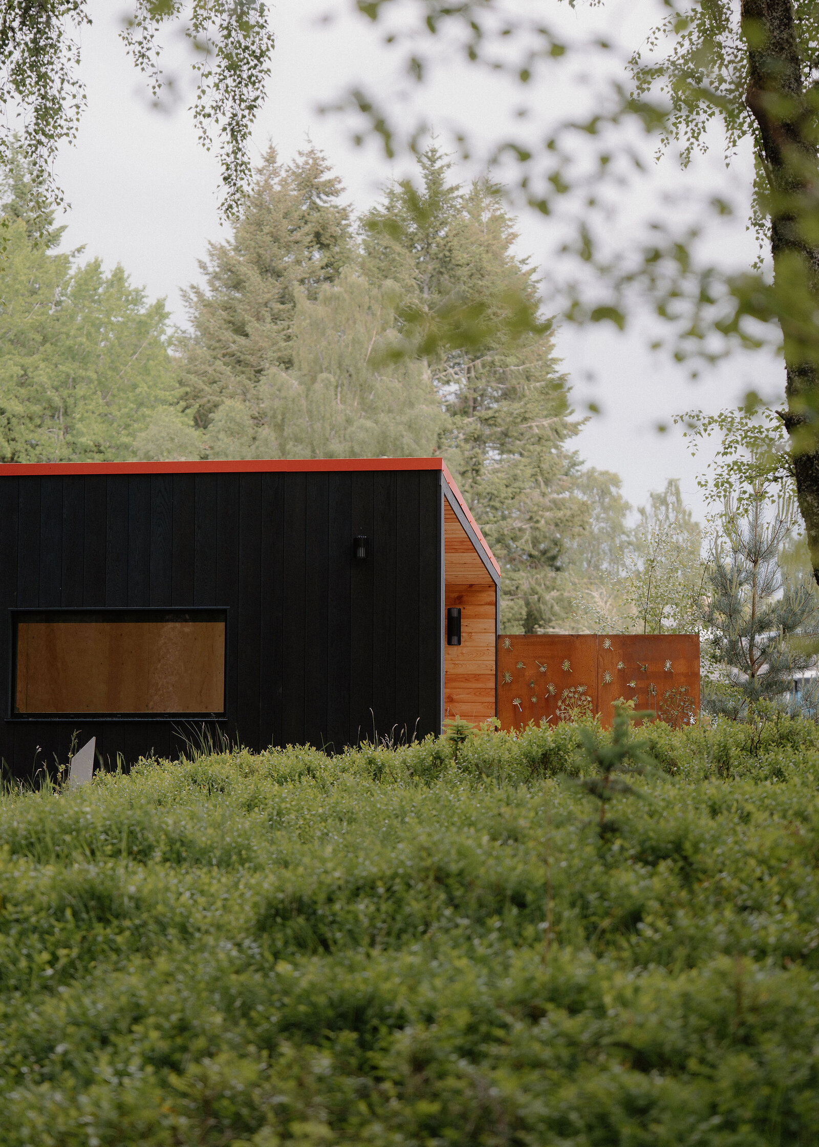 Kin, a black cabin with a red roof edge and a rusted steel shutter over its window, a patterned steel screen at its side, above a bank of blaeberry.