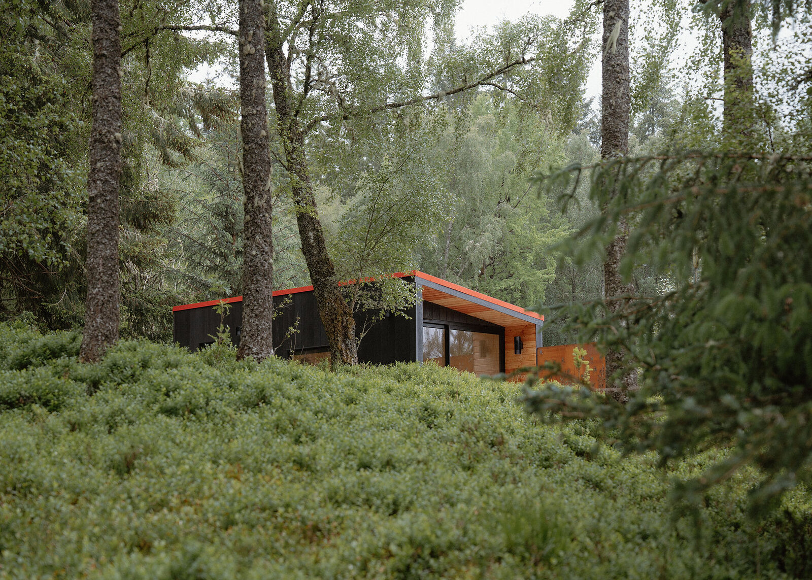 Kin half hidden in the blaeberry on a rise, its black side, glazed corner and rusted screen among birches and spruce.