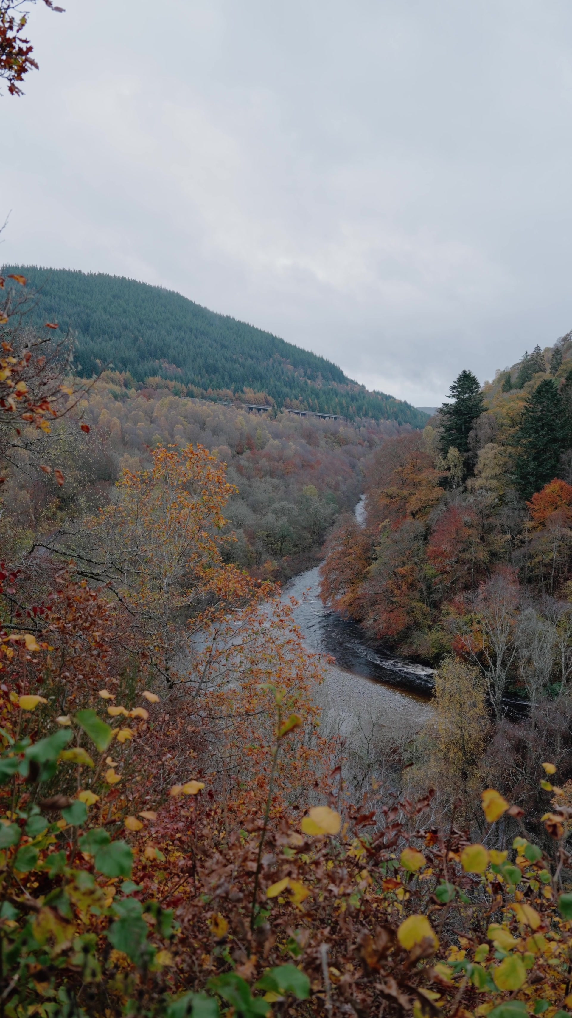 A river winds through an autumn wooded valley, a distant viaduct crossing the forested hillside.