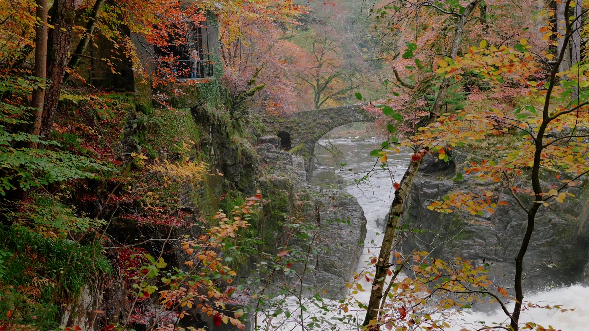 a stone arch bridge crossing a rushing gorge below a moss-covered cliffside building, autumn trees on both banks