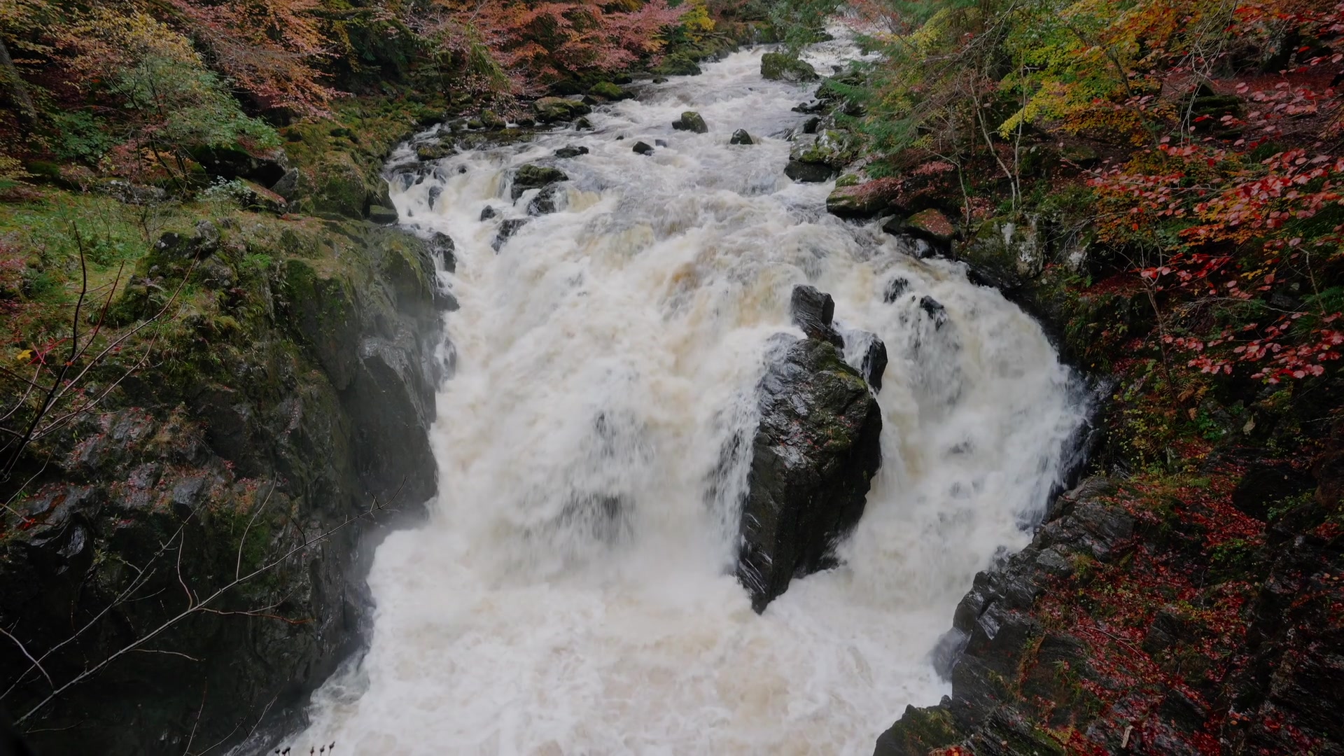 the Deil's Cauldron waterfall crashing through a narrow rocky gorge in full spate, autumn trees crowding the banks