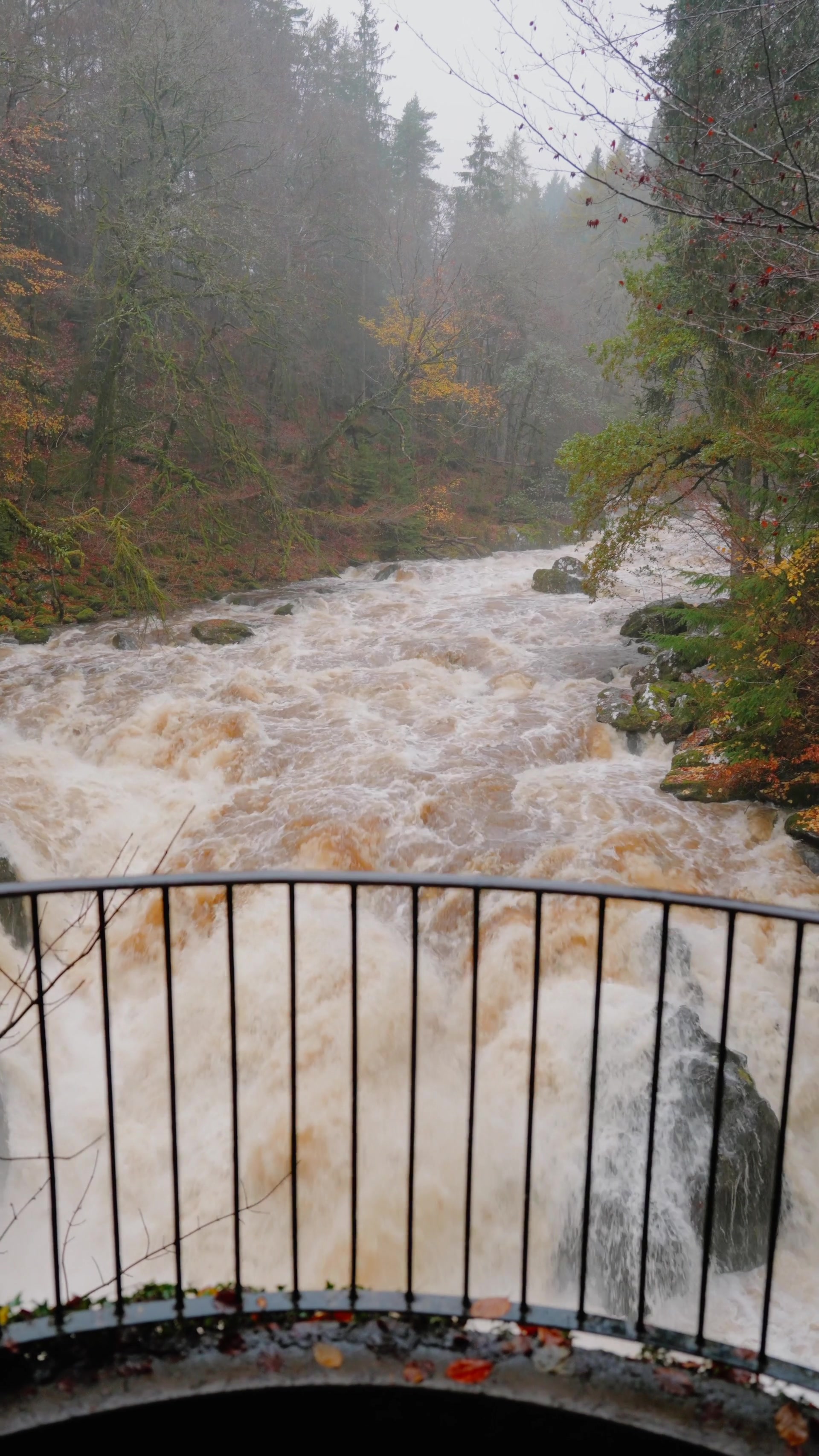 the Black Linn Falls in full flood through a rocky gorge, seen past an iron railing at The Hermitage