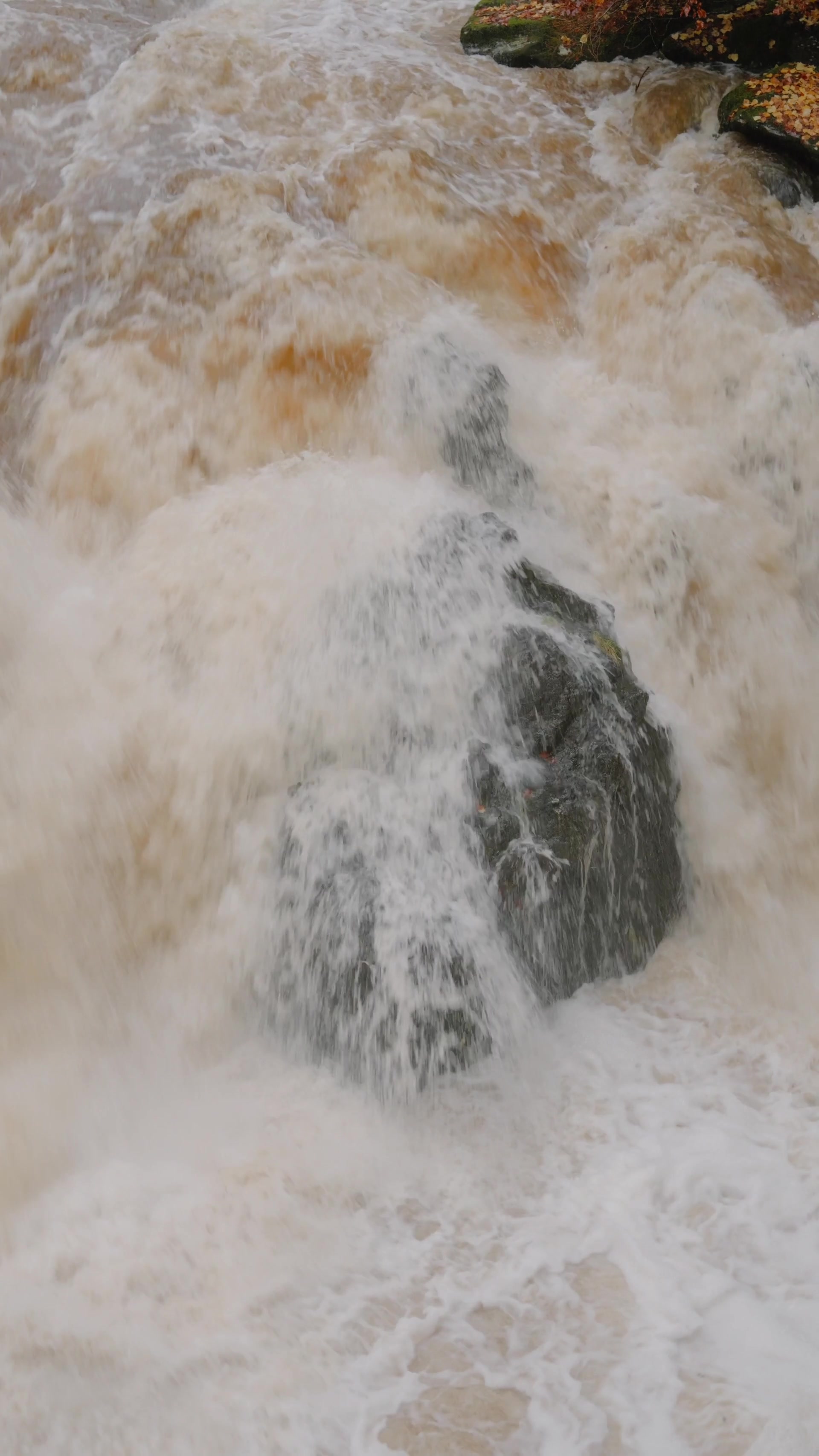 a close view of the Black Linn Falls crashing over a mossy boulder in full spate