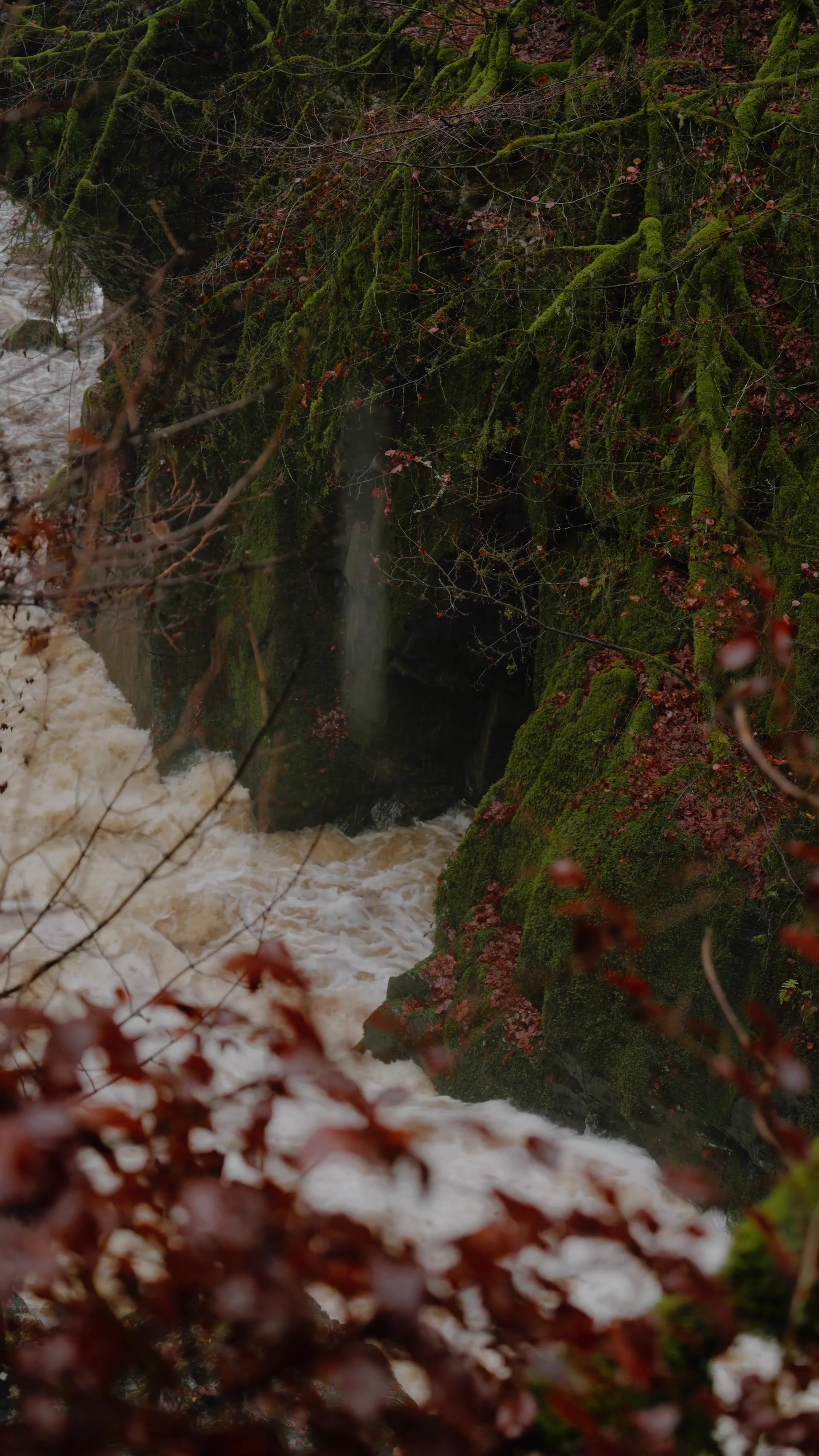 the falls glimpsed through a mossy rock cleft draped with autumn foliage