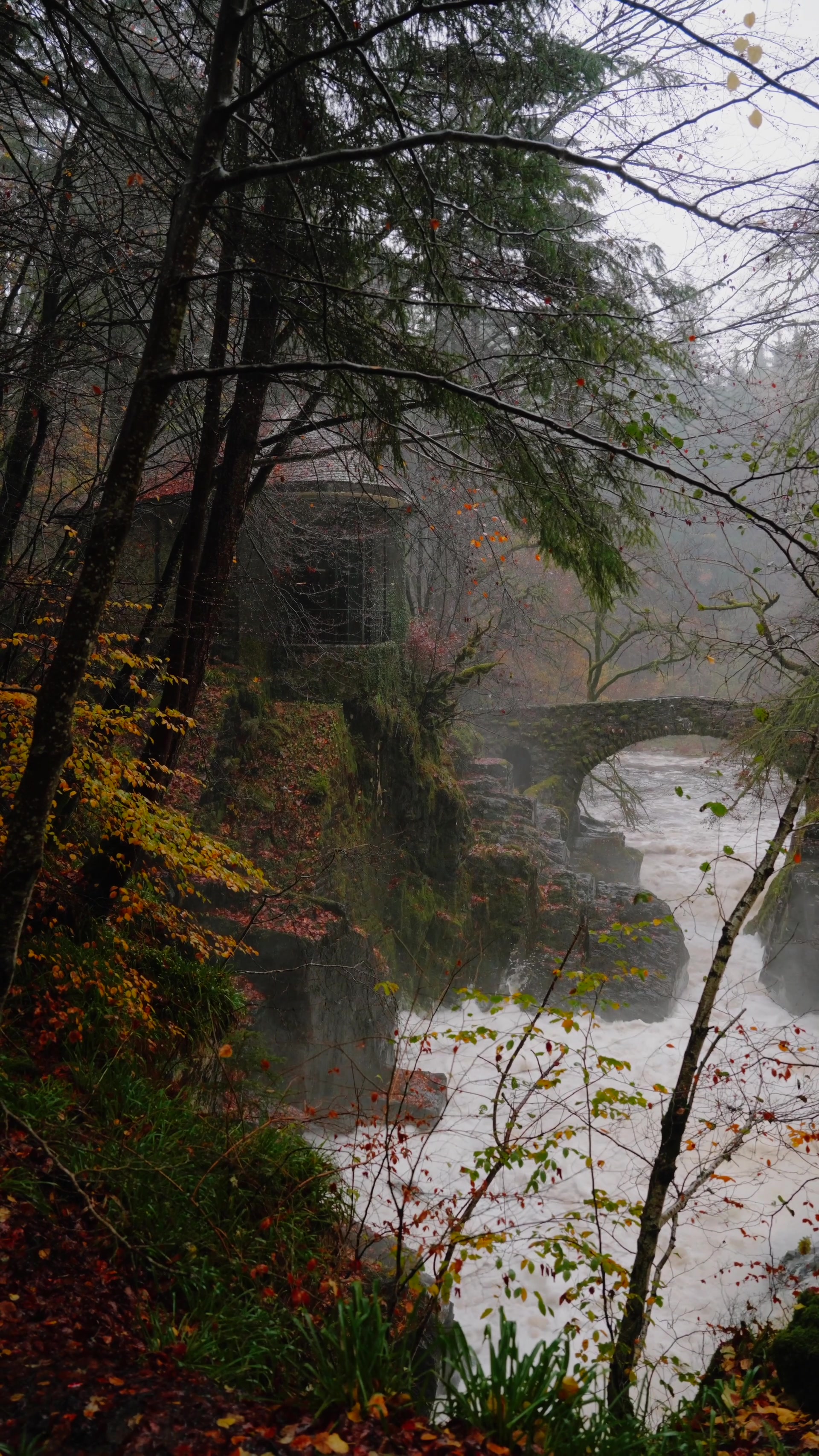The Hermitage's stone pavilion glimpsed through autumn branches on its mossy crag above the flooded Black Linn Falls