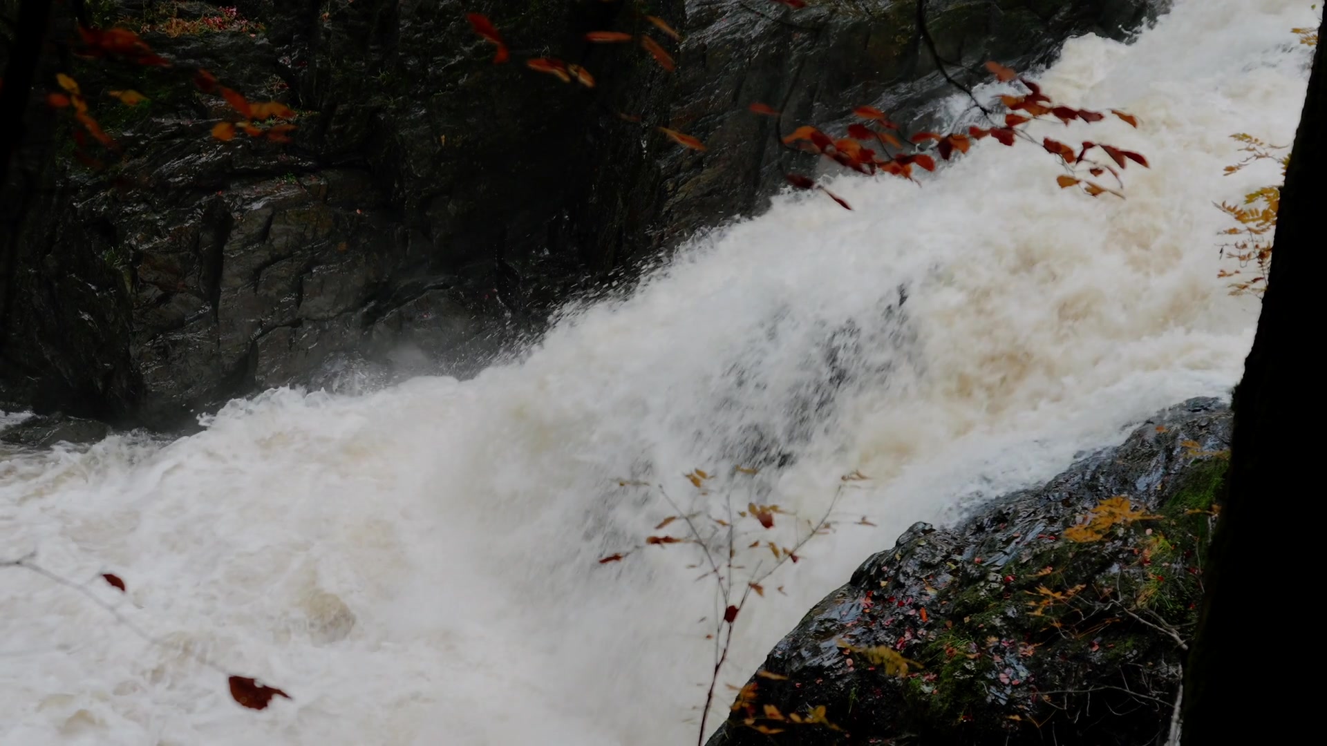 the flooded falls seen from Ossian's Hall's glass viewing balcony, autumn forest framing the river