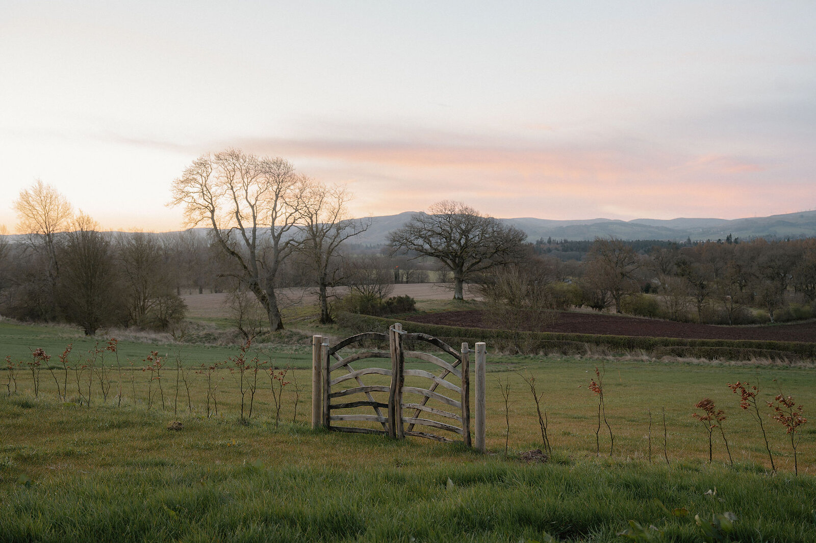 A rustic gate in the field under a pink dusk sky, oaks and the Ochil Hills beyond.