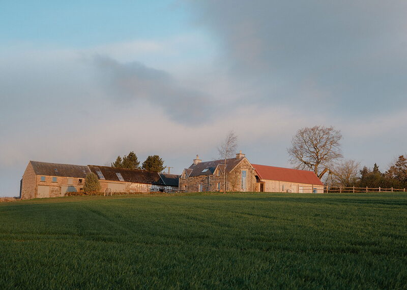 A landscape view of Whitehill on its hill: the steadings, the farmhouse and its red-roofed wing in low sun across a field of young crop.