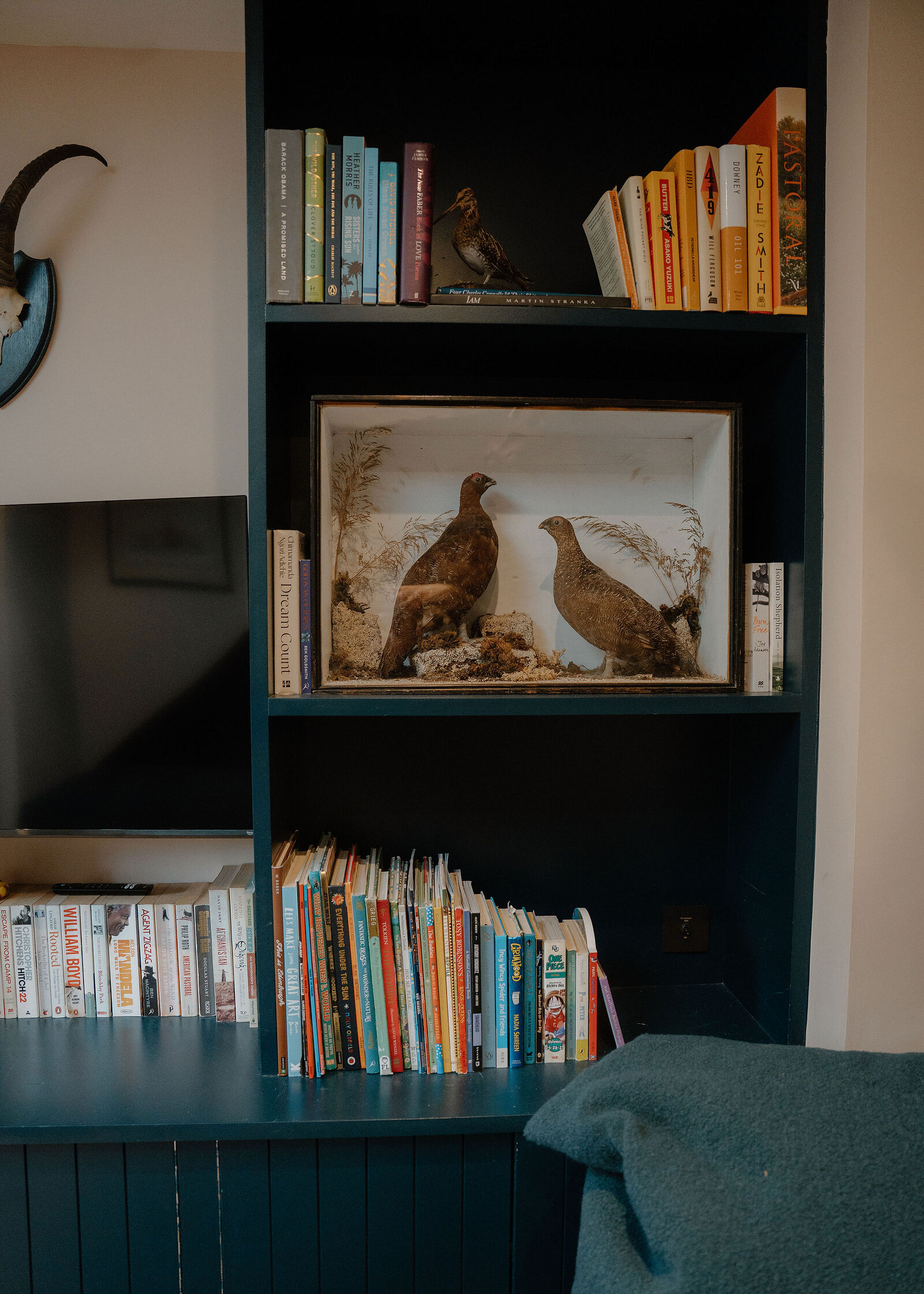 The snug's dark blue bookcase with a case of stuffed grouse, children's books and a bean bag.