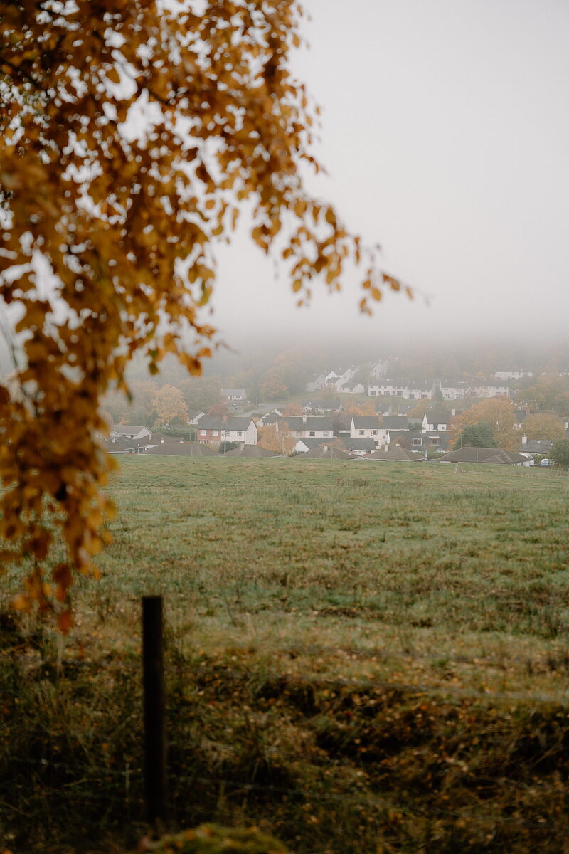 A village nestles in misty farmland, framed by golden autumn leaves in the foreground.