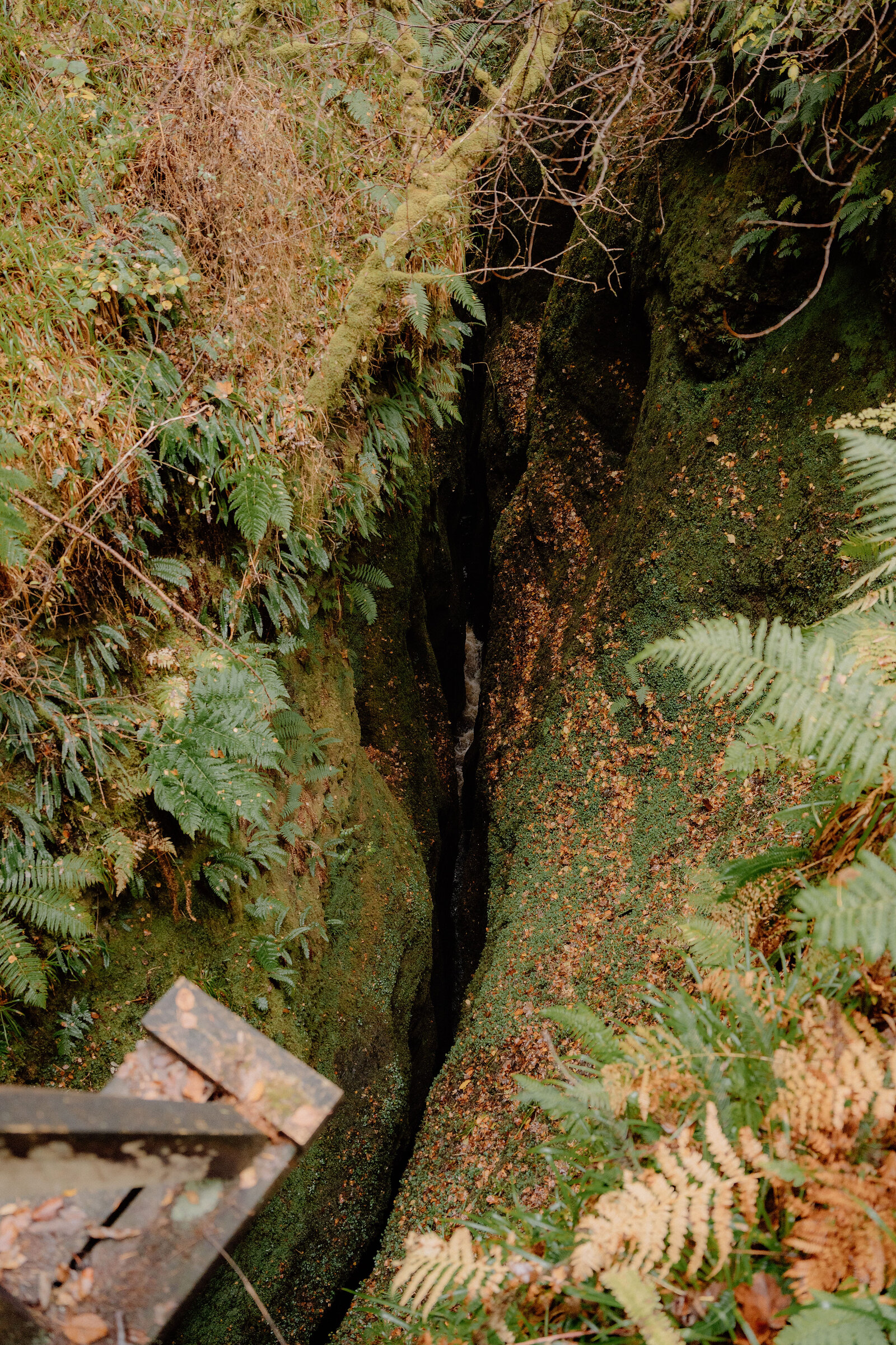 A narrow moss-covered rock chasm is viewed from a wooden platform above a trickle of water.
