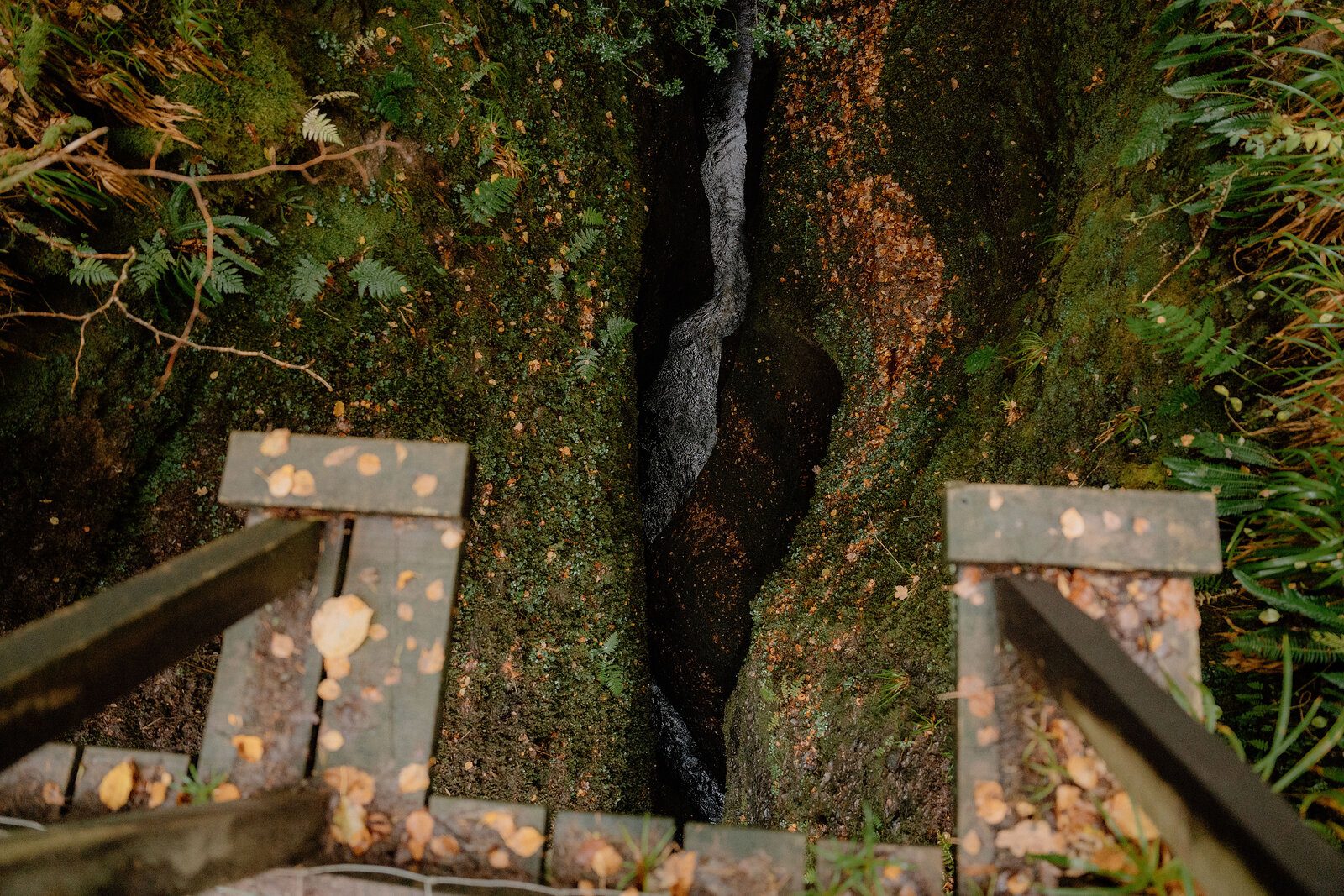 A wooden footbridge with railings crosses a wooded gorge among autumn trees.