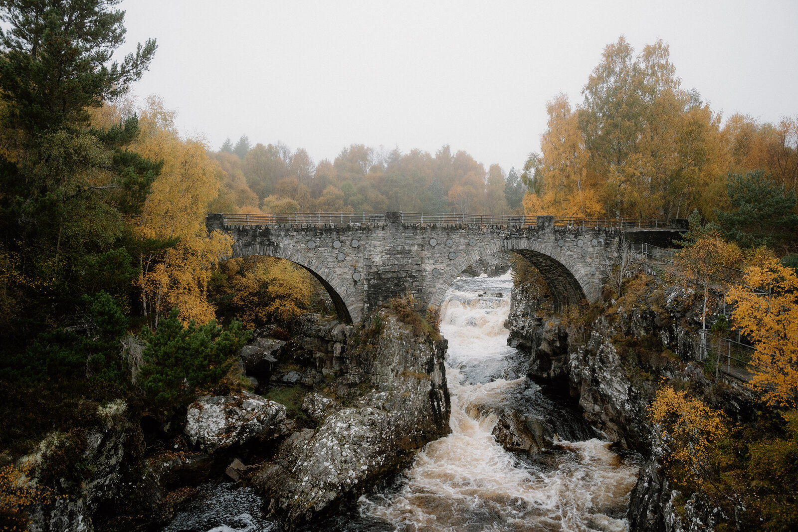 Silverbridge, an old stone bridge of two arches, with the Black Water pouring white through a rocky gap beneath it, pines and yellow birches on the banks.