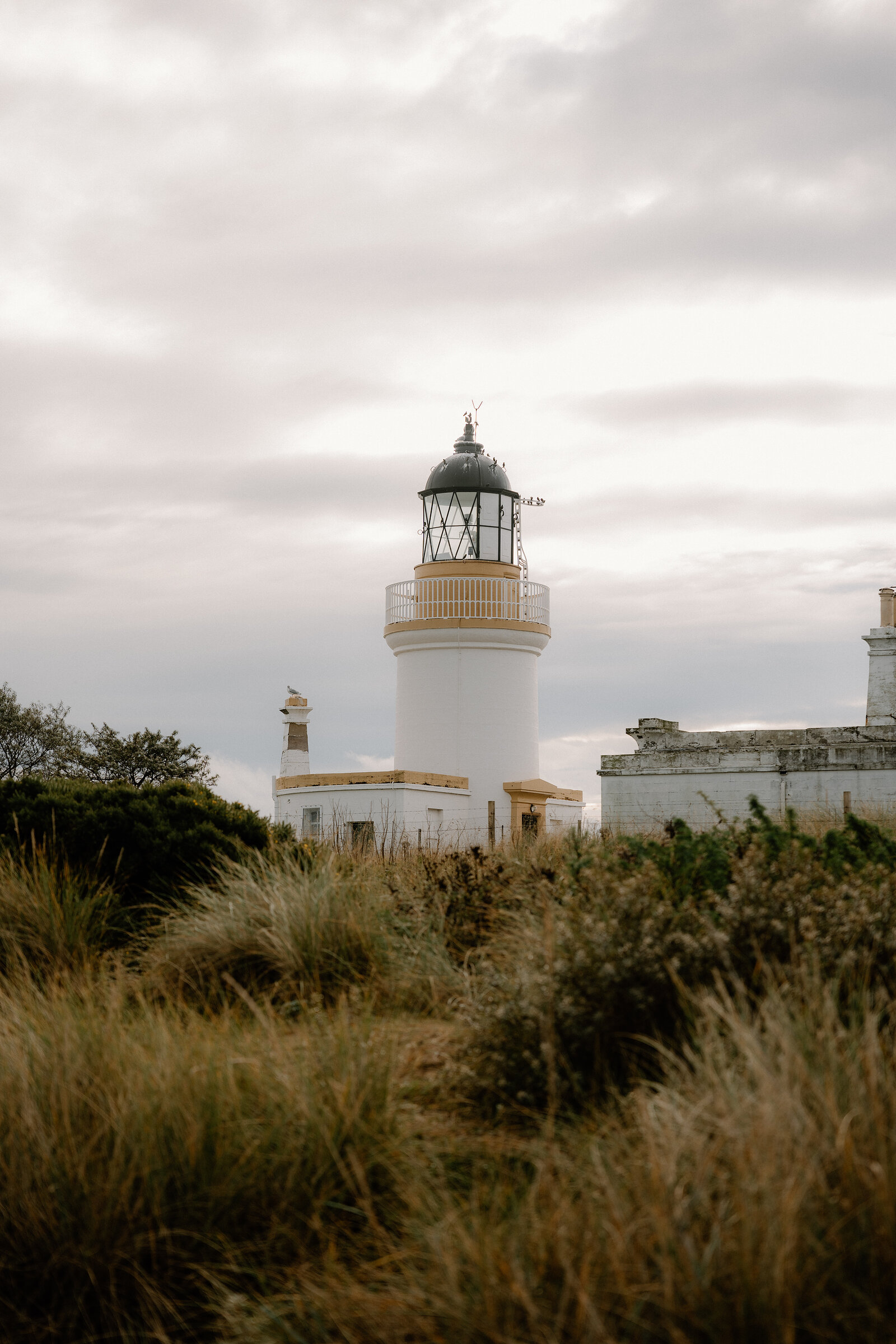 Chanonry Point Lighthouse rises above grassland in Ross and Cromarty.
