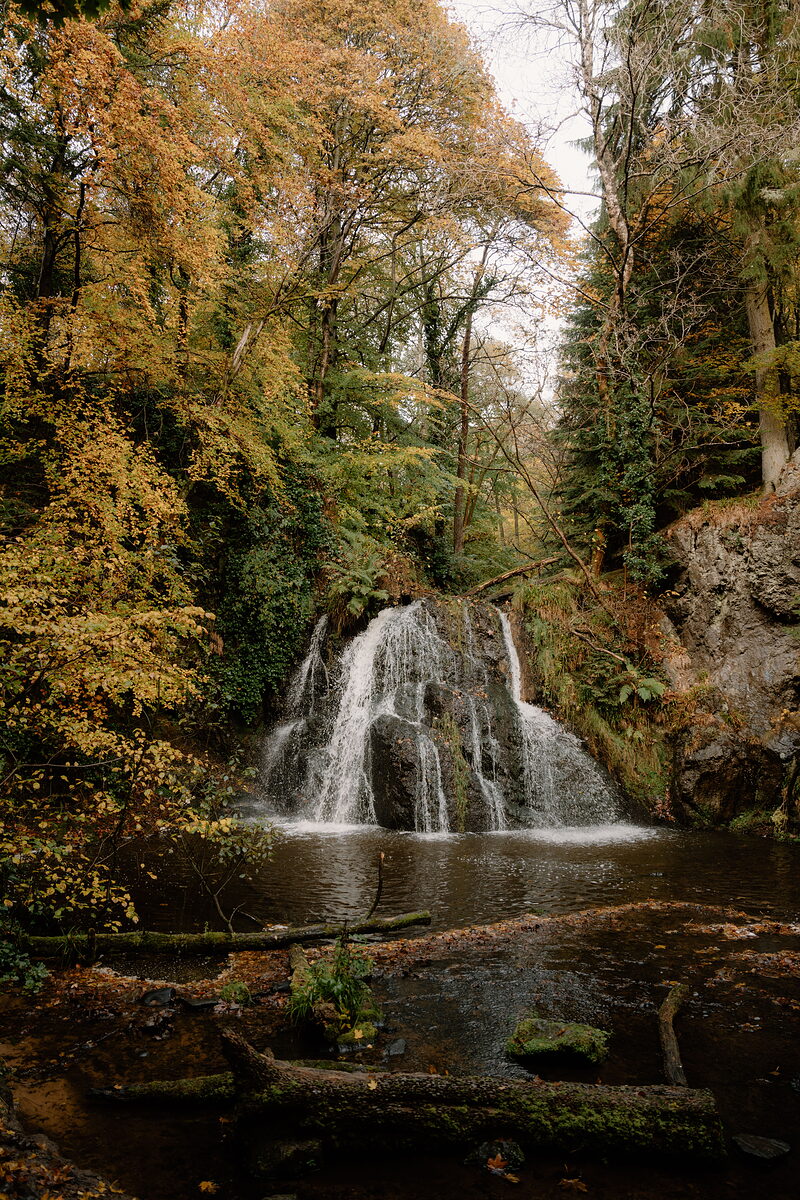 A tall waterfall drops through golden autumn woodland into a pool in Ross and Cromarty.