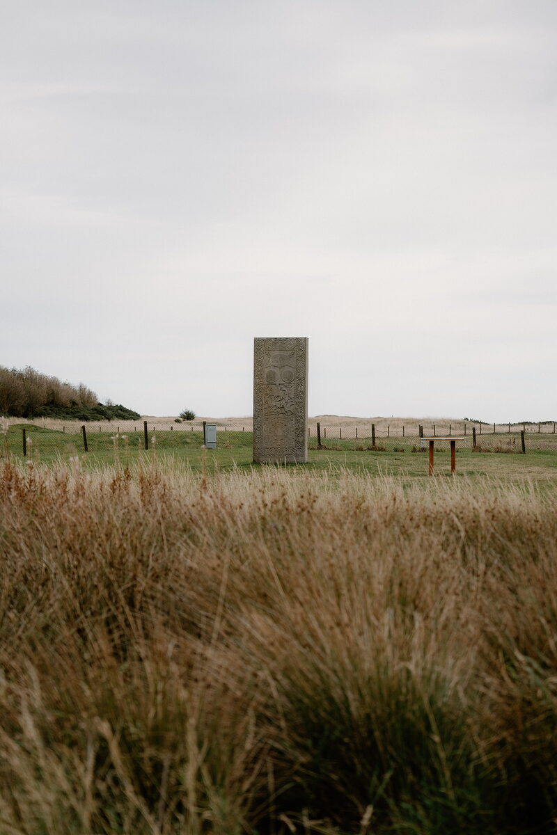 The Pictish stones of Easter Ross