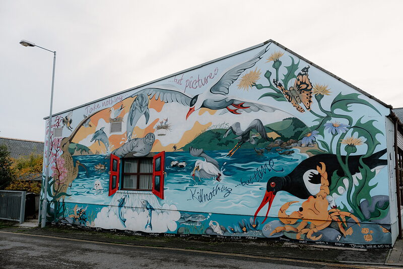A mural of oystercatchers, dolphins and coastal wildlife decorates a gable wall in Ross and Cromarty.