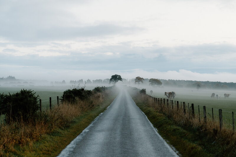 A single-track road runs straight through misty fields lined with fence posts in Ross and Cromarty.