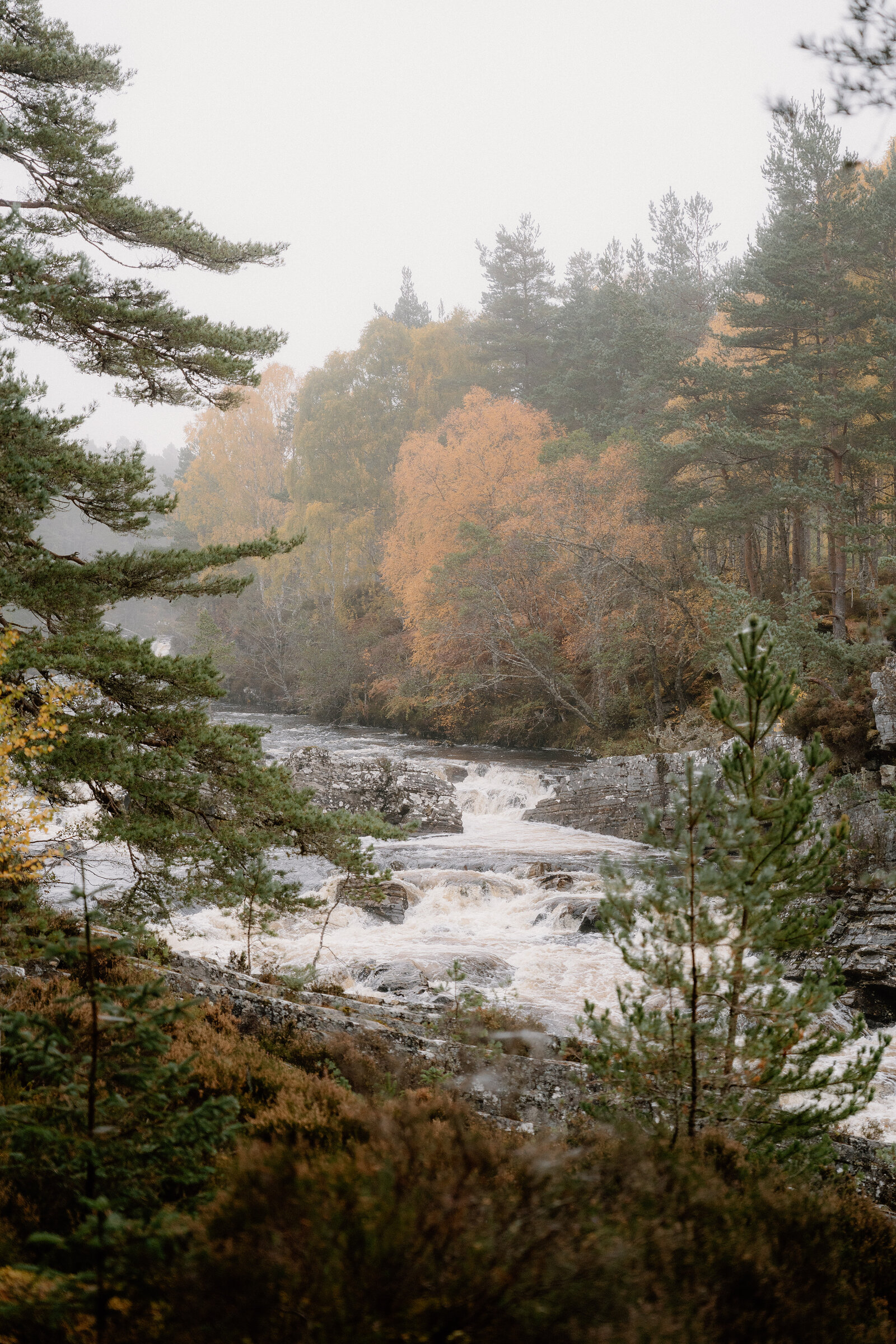 White water rushes over rocks beneath autumn-gold trees on a wooded river in Ross and Cromarty.