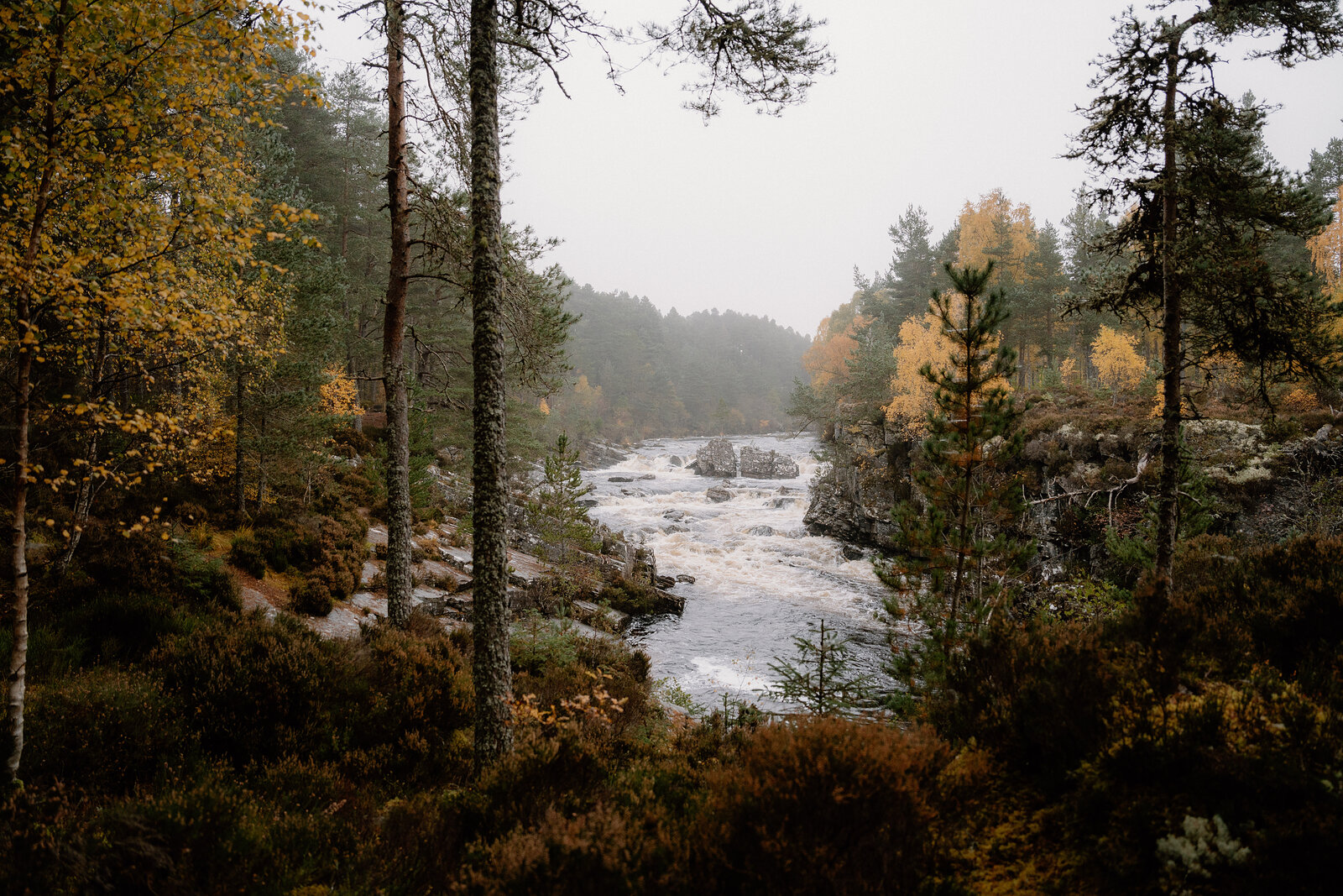 A misty river rushes between rocky banks lined with autumn-gold trees in Ross and Cromarty.