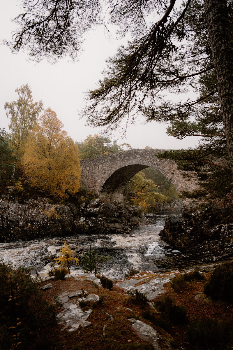 A single-arch stone bridge spans a rushing river between autumn-gold trees in Ross and Cromarty.