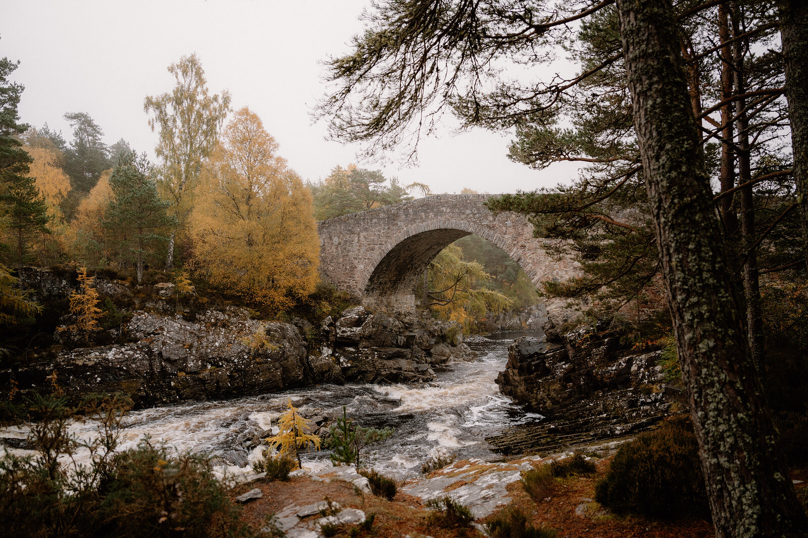 A stone arch bridge crosses white rapids beneath autumn-gold birches in Ross and Cromarty.