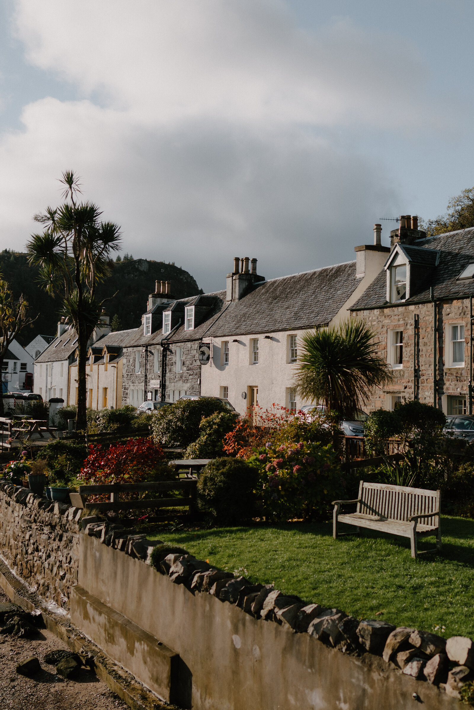 Palm trees line a row of harled houses facing a walled garden and bench in Plockton.