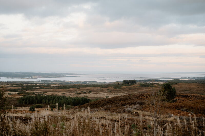 Moorland and forest slope down to a wide estuary in Ross and Cromarty.