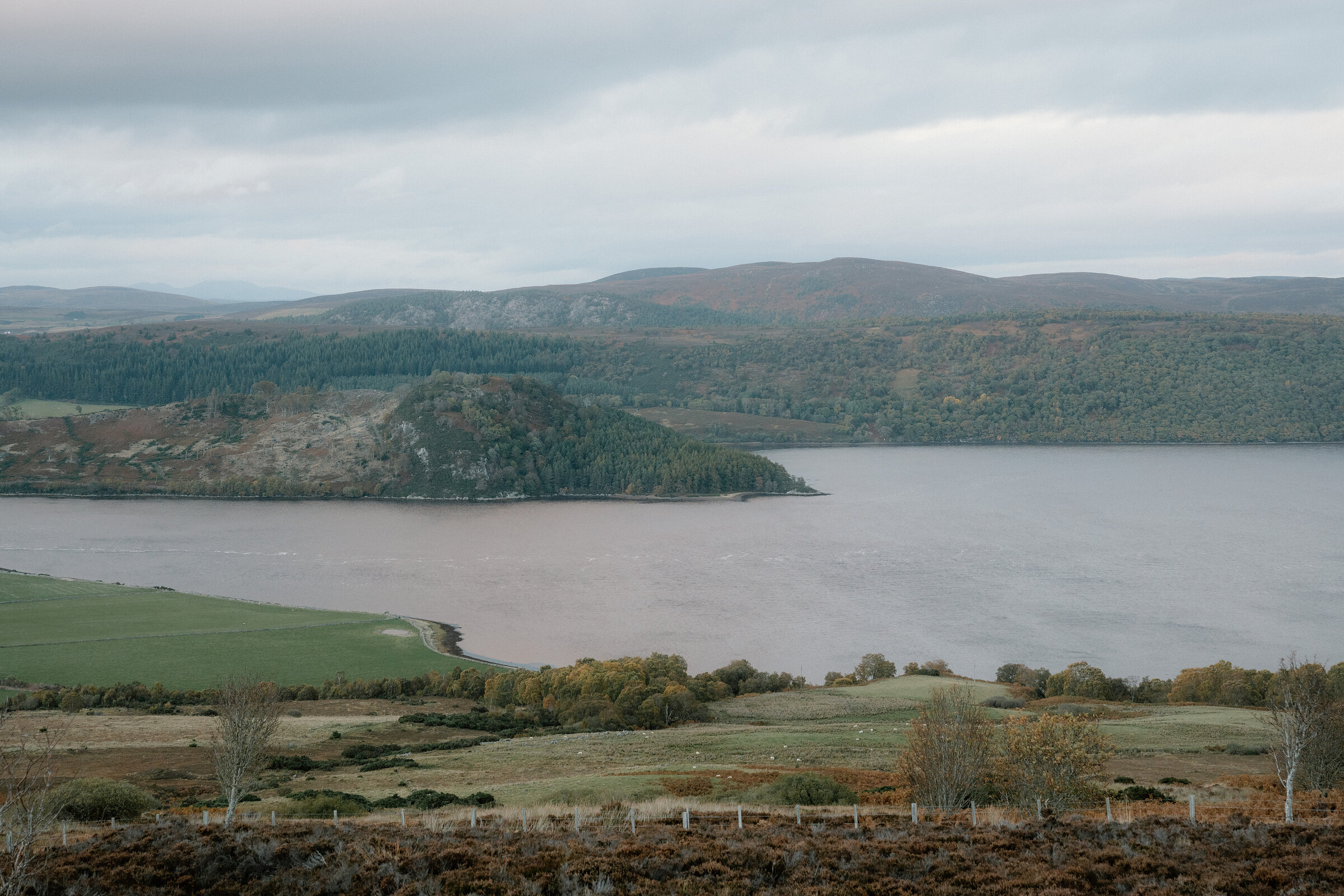 The Dornoch Firth from Struie Hill, a wooded point reaching into the water between the fields.