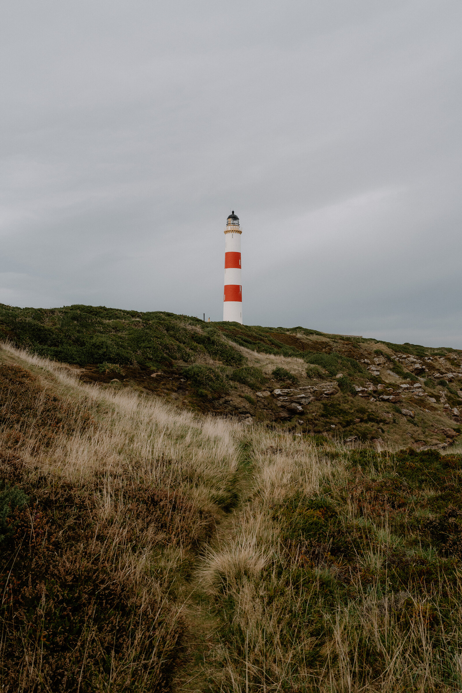 A faint path through long grass and heather, the red and white lighthouse ahead on the skyline.