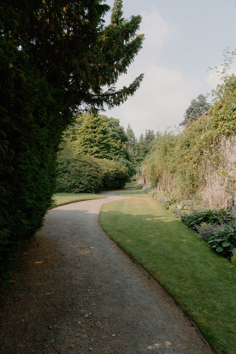 A gravel path winds between a tall hedge and a stone wall in a walled garden, flower borders and conifers lining the route.