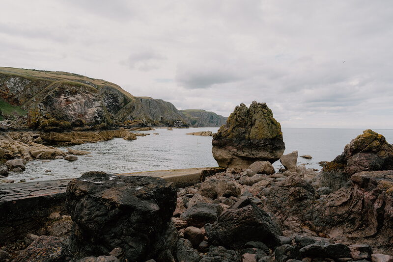 St Abb's Head's seabird cliffs