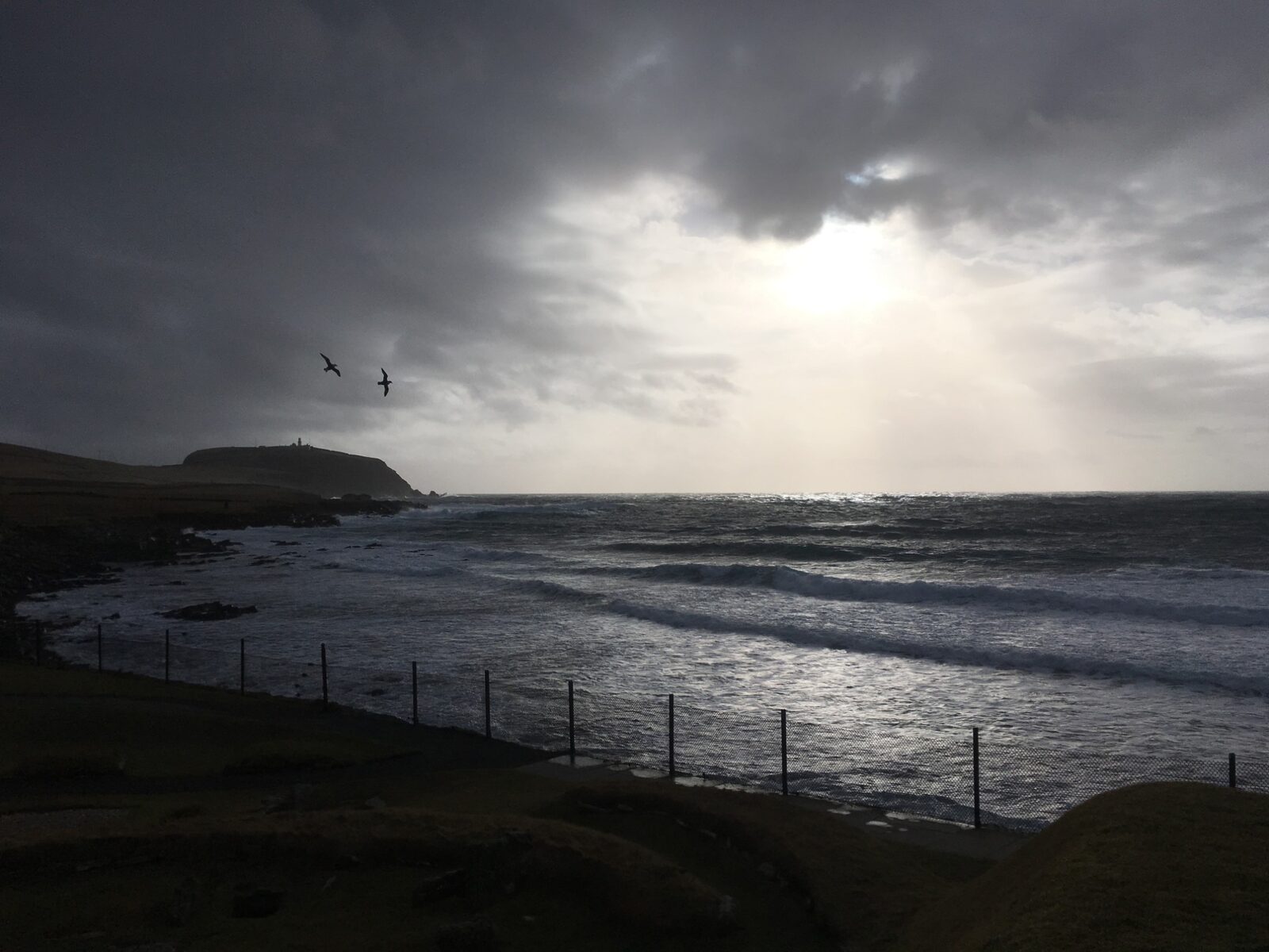 When is the best time to visit Shetland?
