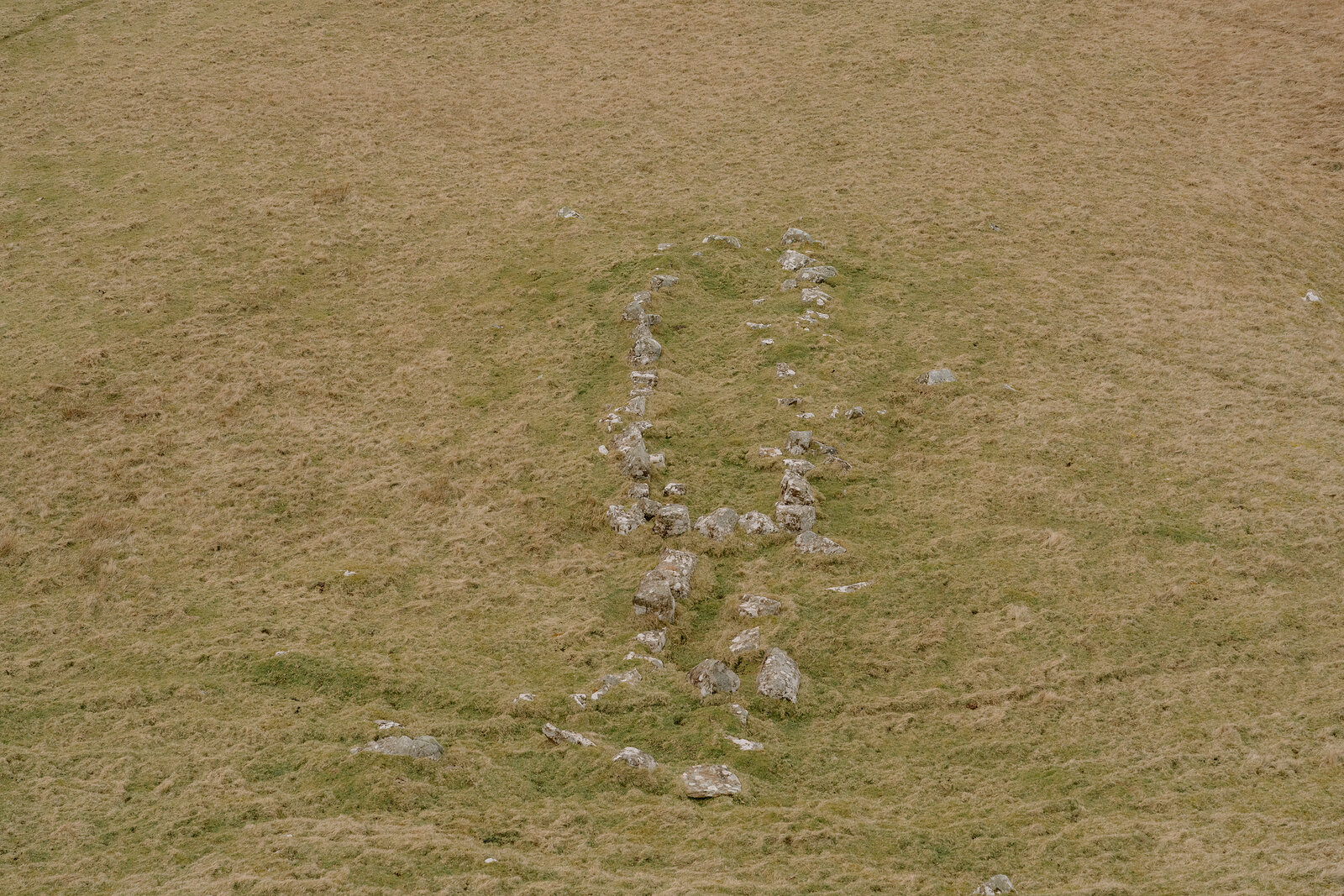 The low remains of a stone wall trace a faint line across grassland on the Isle of Canna.