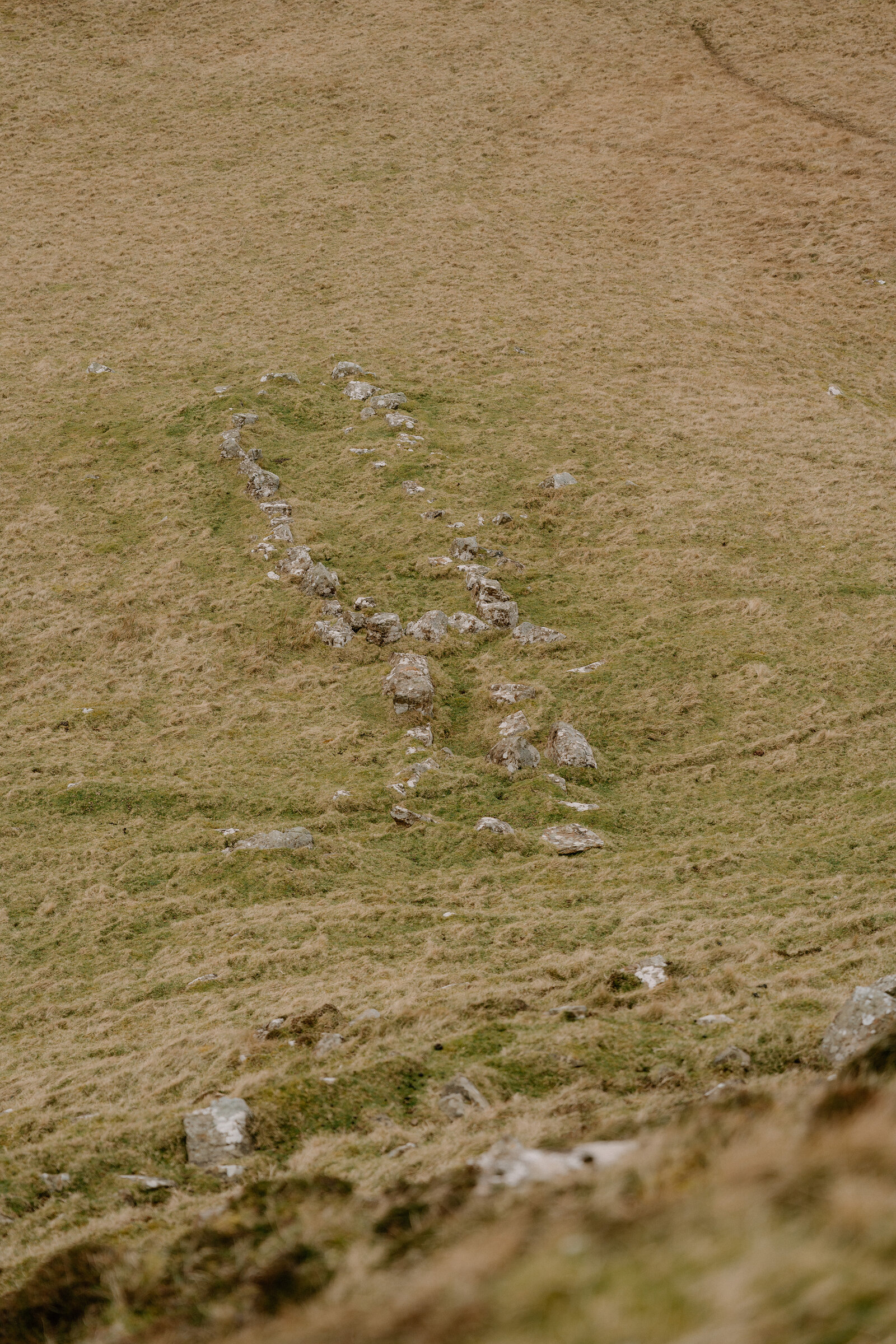 Weathered foundation stones mark the line of an old wall across grassland on the Isle of Canna.