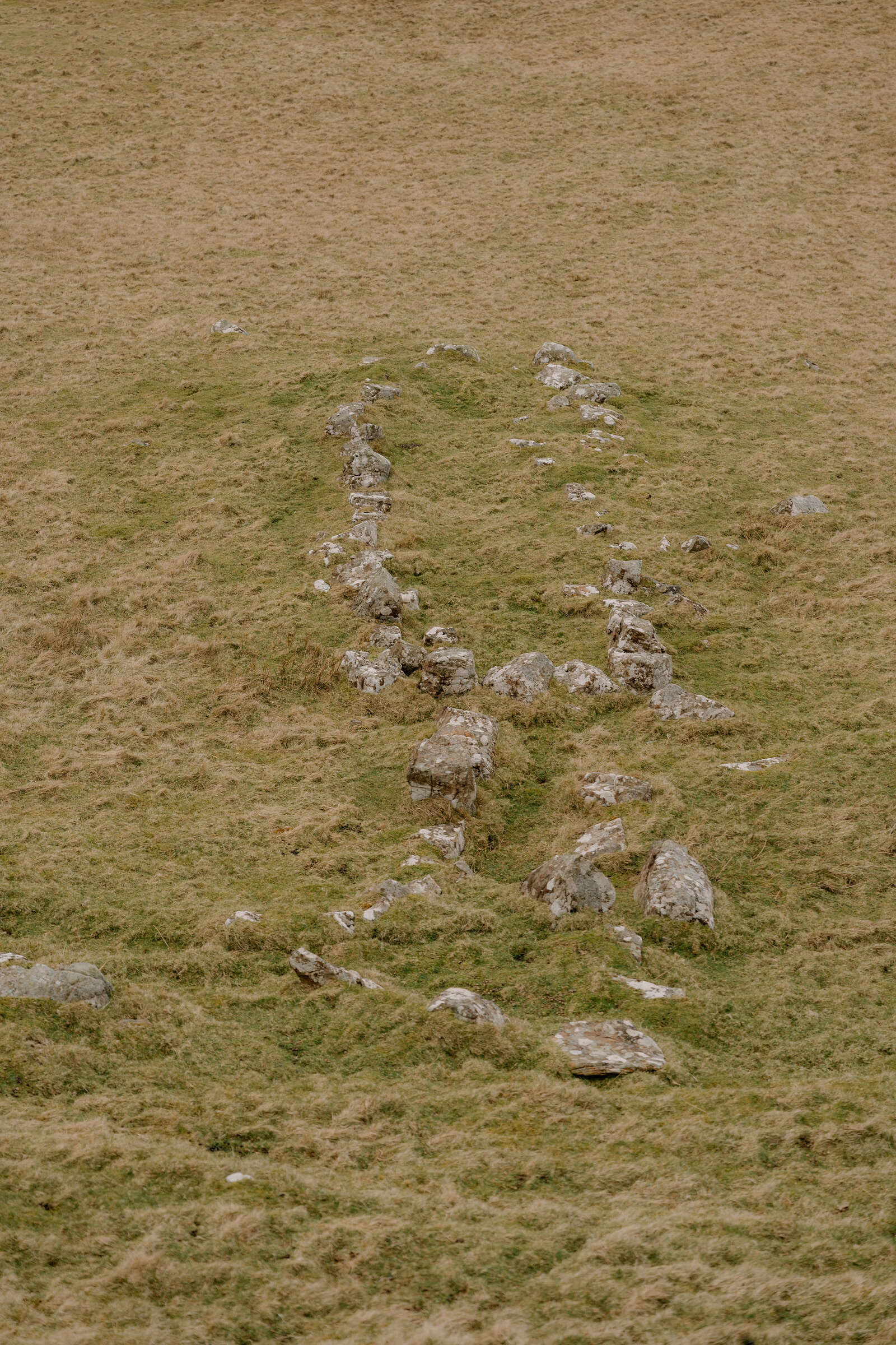 The low foundation stones of an old wall form a faint line across grassland on the Isle of Canna.